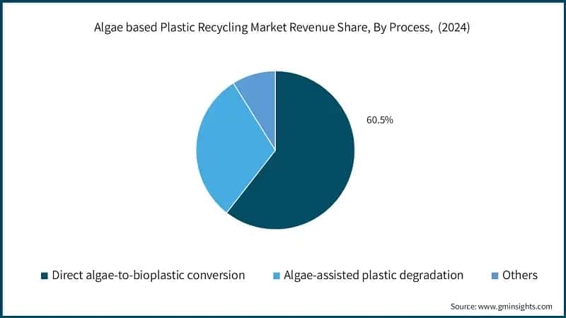 Algae based Plastic Recycling Market Revenue Share, By Process,  (2024)