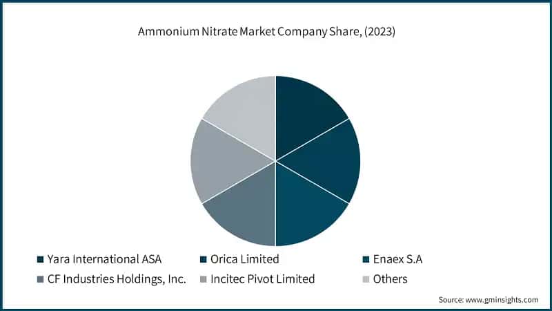 Ammonium Nitrate Market Company Share, (2023)