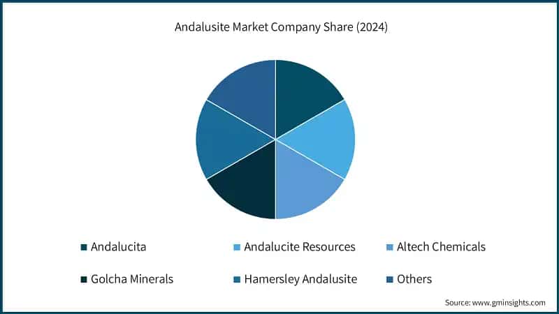 Andalusite Market Company Share (2024)