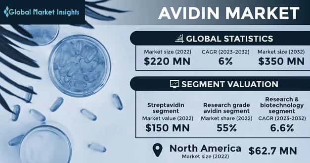 Avidin Market