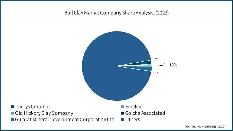 Ball Clay Market Company Share Analysis, (2023)