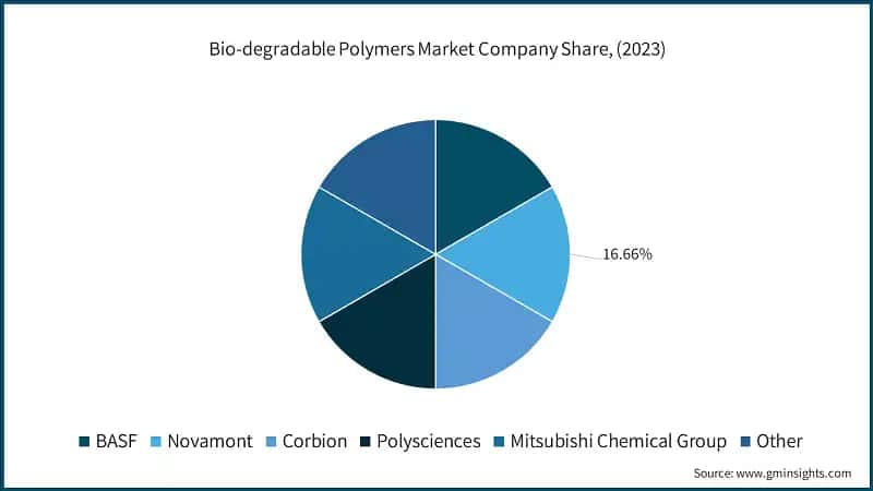  Biodegradable Polymers Market Company Share, (2023)