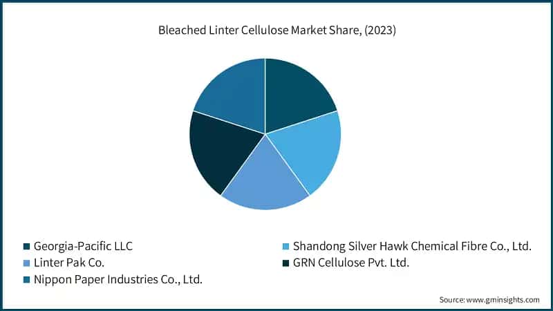 Bleached Linter Cellulose Market Share, (2023)