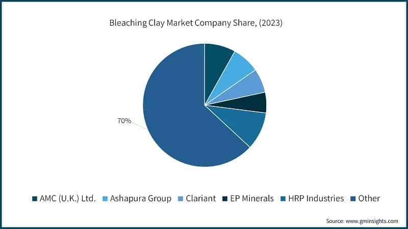 Bleaching Clay Market Company Share, (2023)