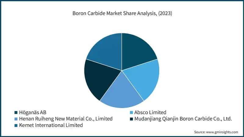 Boron Carbide Market Share Analysis, (2023)