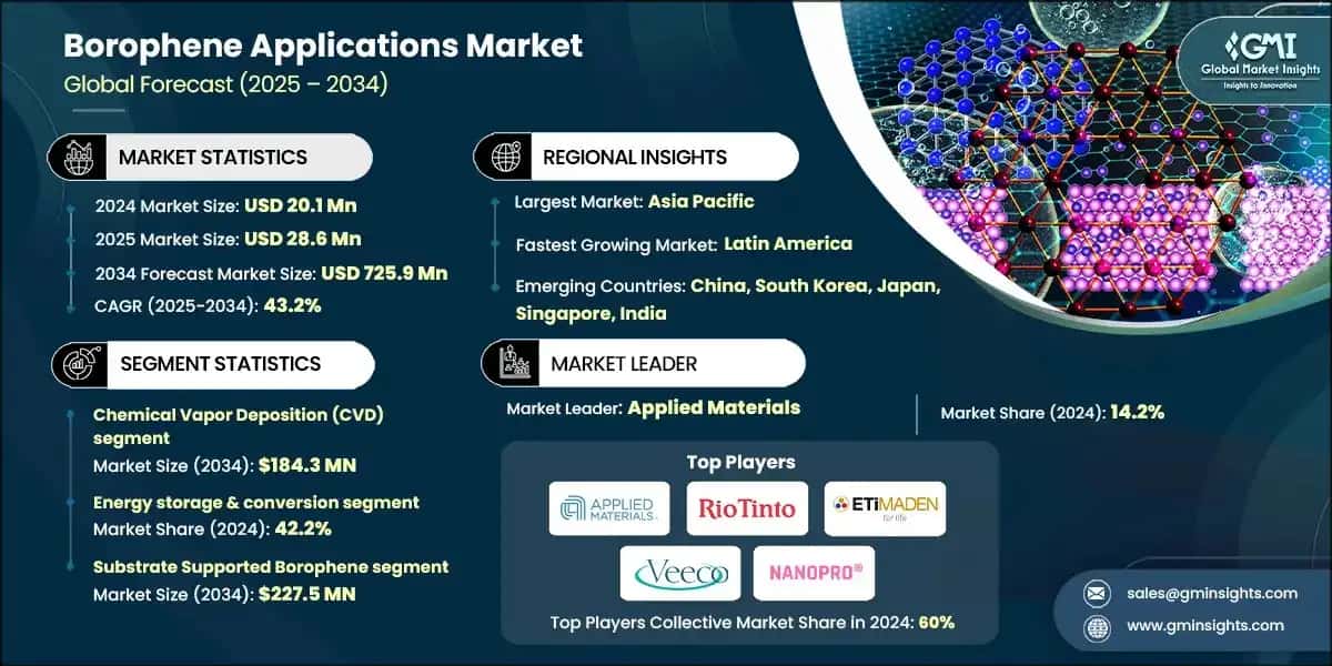 Borophene Applications Market