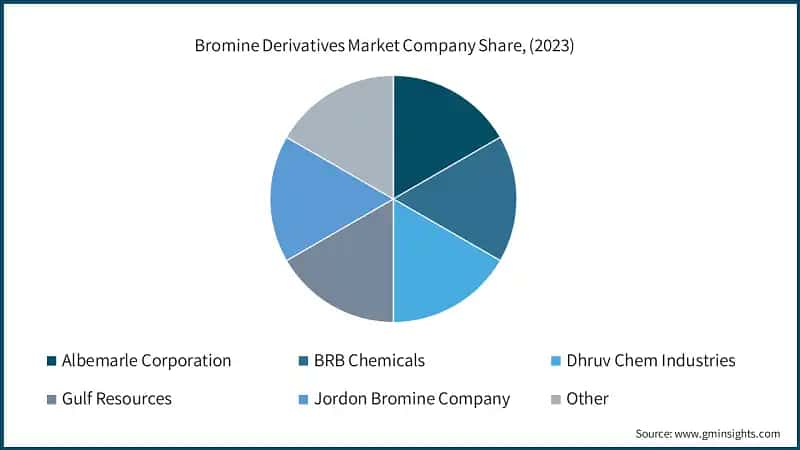 Bromine Derivatives&nbsp;Market Company Share, (2023)