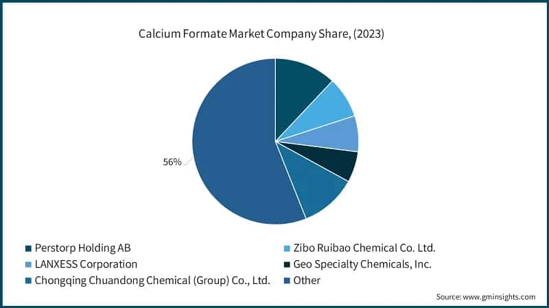 Calcium Formate Market Company Share, (2023)