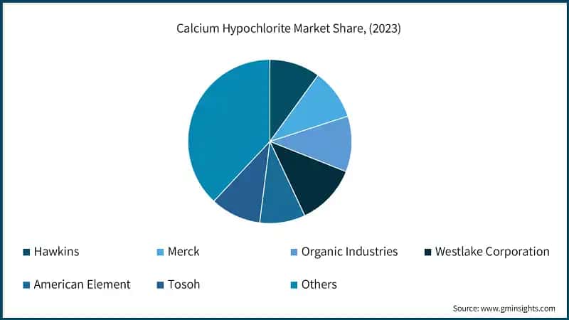 Calcium Hypochlorite Market Share, (2023)