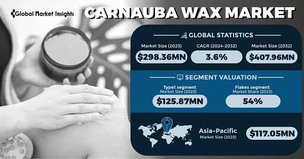 Carnauba Wax Market