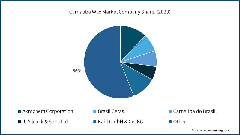 Carnauba Wax Market Company Share, (2023)