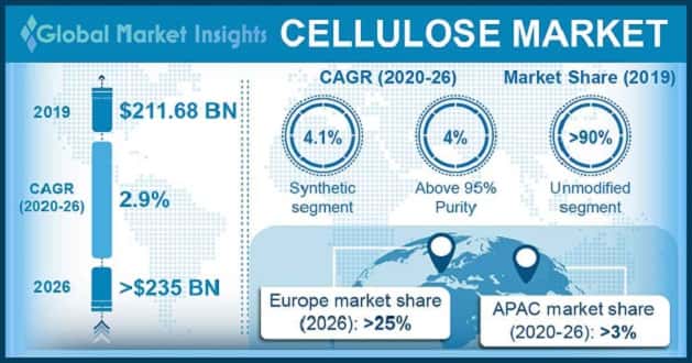 Cellulose Market Outlook