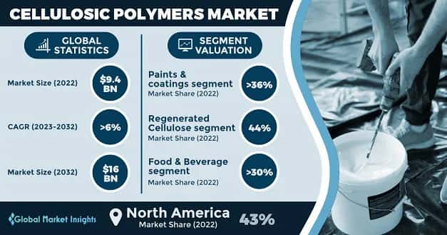 Cellulosic Polymers Market 
