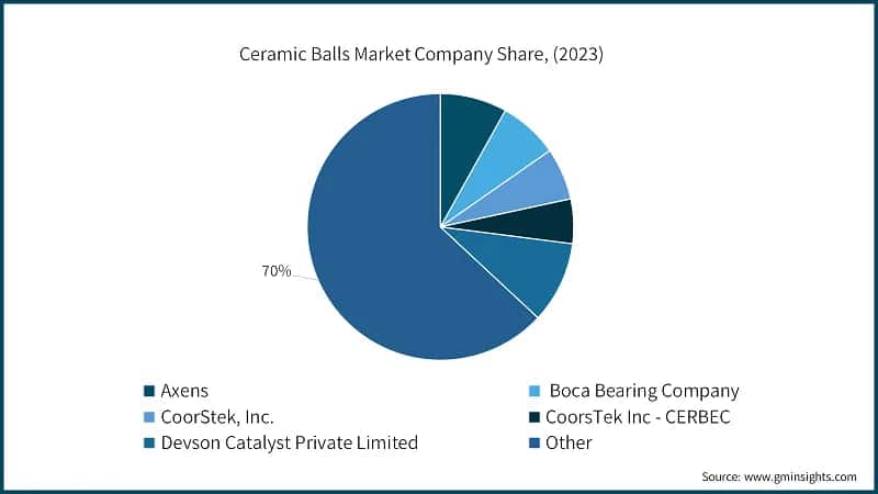 Ceramic Balls Market Company Share, (2023)