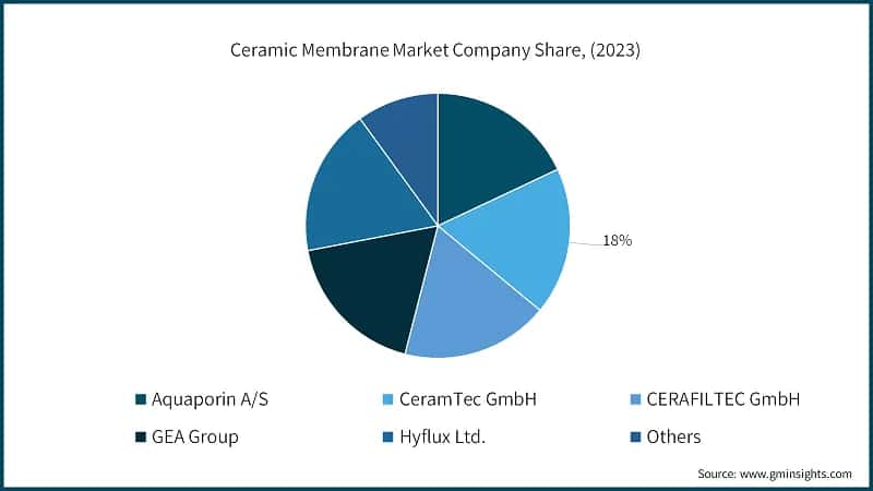 Ceramic Membrane Market Company Share, (2023)