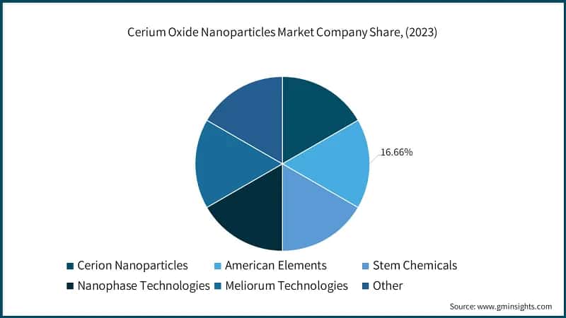 Cerium Oxide Nanoparticles Market Company Share, (2023)