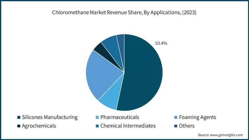 Chloromethane Market Revenue Share, By Applications, (2023)