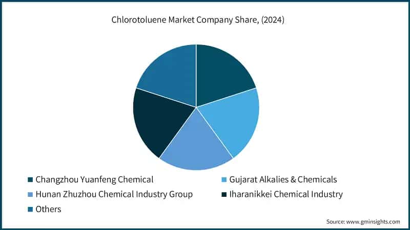 Chlorotoluene Market Company Share, (2024)