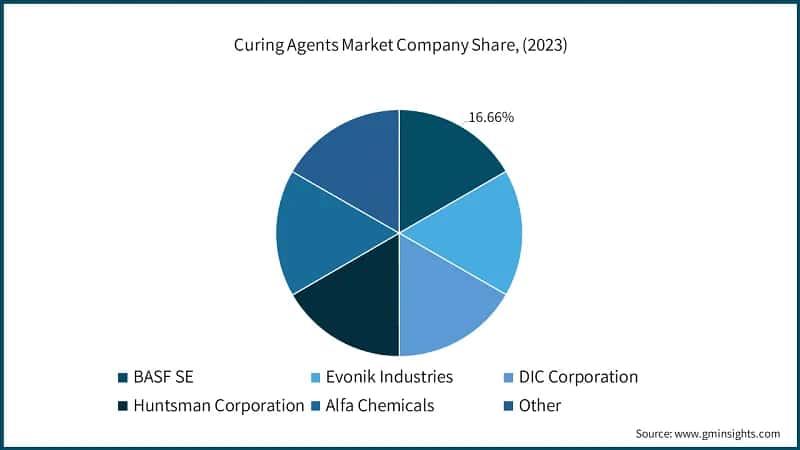 Curing Agents Market Company Share, (2023)