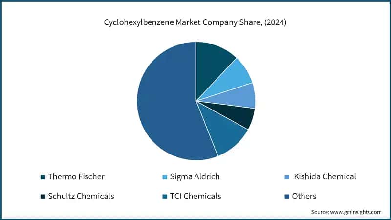 Cyclohexylbenzene Market Company Share, (2024)