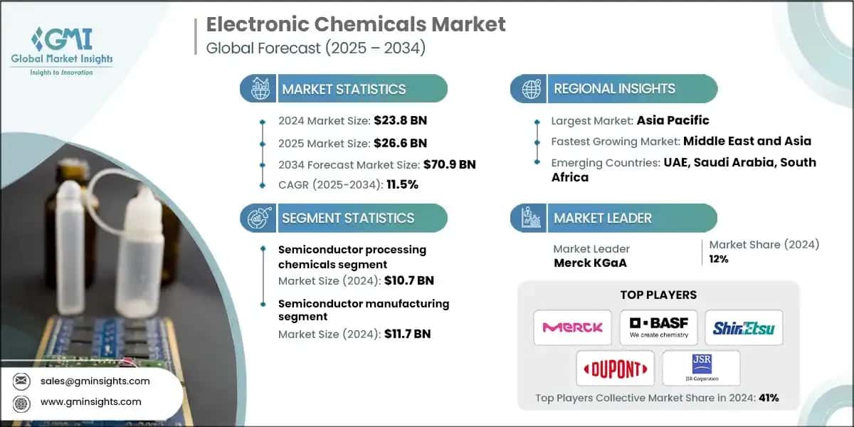 Electronic Chemicals Market
