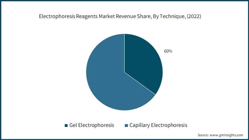 Electrophoresis Reagents Market Revenue Share, By Technique, (2022)