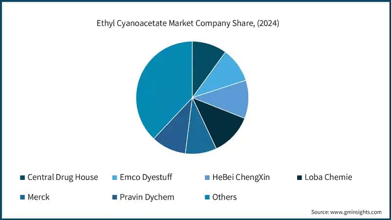 Ethyl Cyanoacetate Market Company Share, (2024)