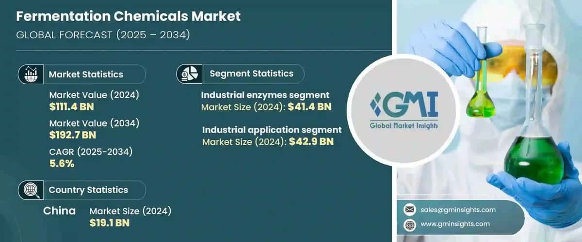 Fermentation Chemicals Market