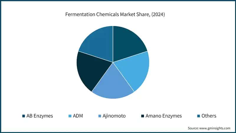 Fermentation Chemicals Market Share, (2024)