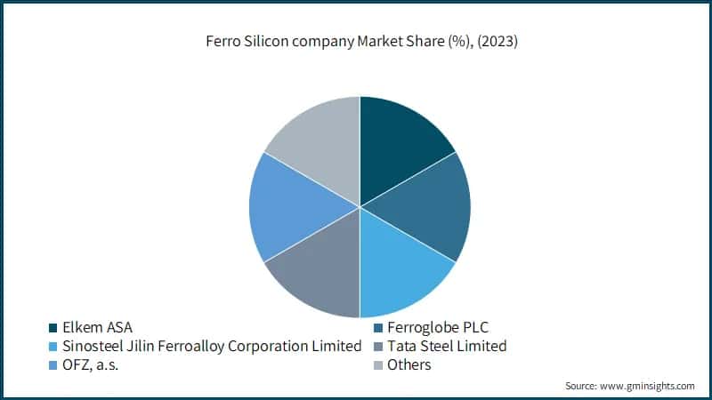 Ferro Silicon company Market Share (%), (2023)