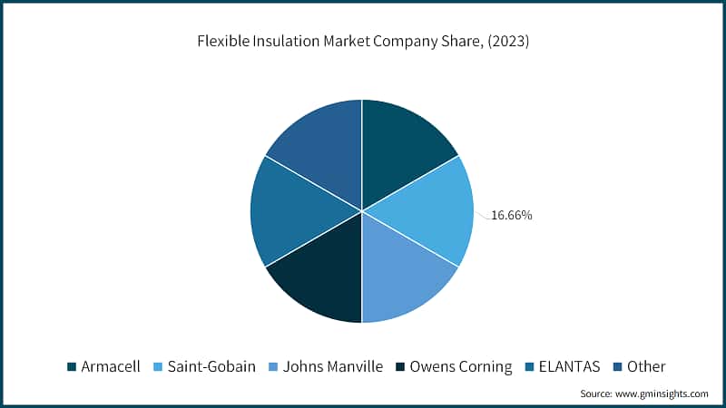 Flexible Insulation Market Company Share, (2023)
