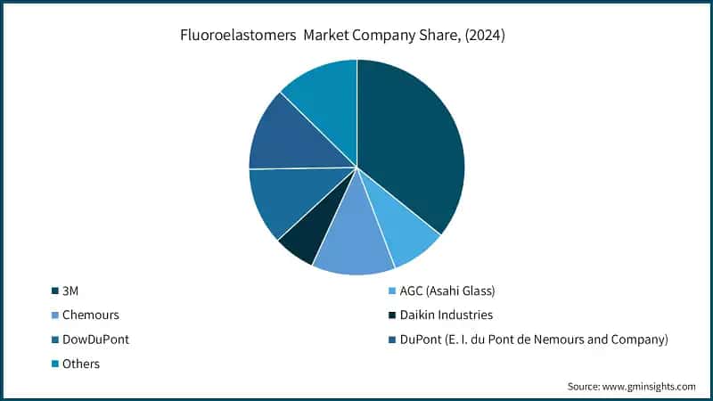 Fluoroelastomers Market Company Share, (2024)