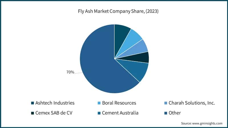 Fly Ash Market Company Share, (2023)