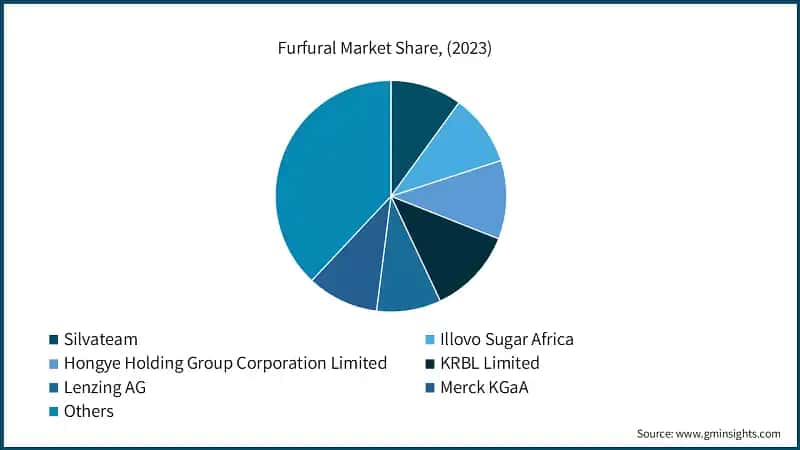 Furfural Market Share (%) (2023)