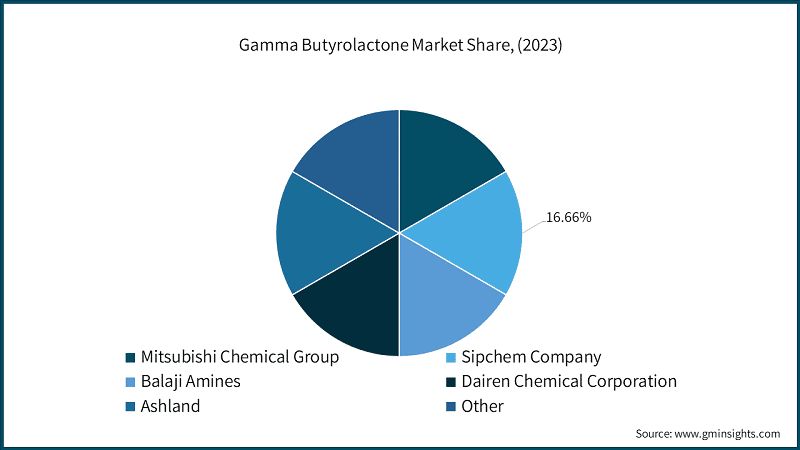 Gamma Butyrolactone Market&nbsp;Share, (2023)