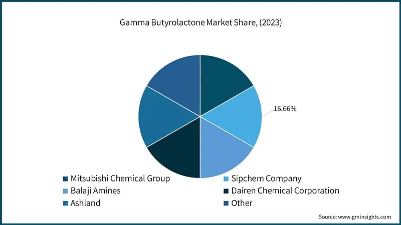 Gamma Butyrolactone Market&nbsp;Share, (2023)