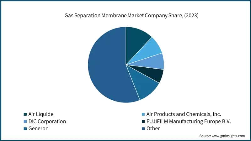 Gas Separation Membrane Market Company Share, (2023)