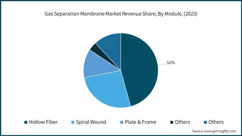 Gas Separation Membrane Market Revenue Share, By Module, (2023)