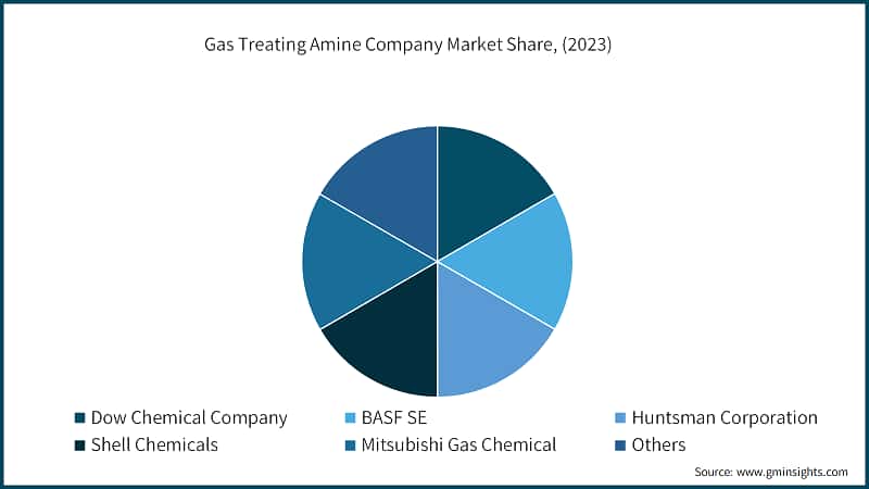 Gas Treating Amine Company Market Share, (2023)