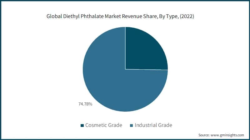 Global Diethyl Phthalate Market Revenue Share, By Type, (2022)