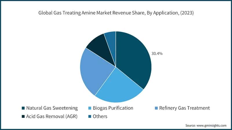 Global Gas Treating Amine Market Revenue Share, By Application, (2023)