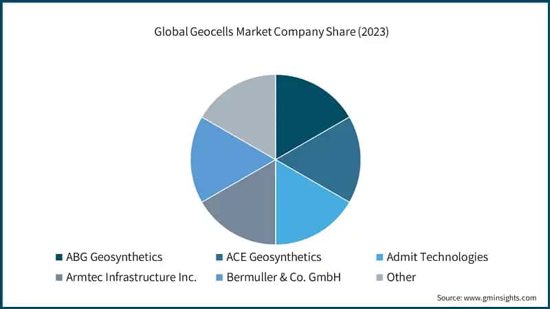 Global Geocells Market Company Share (2023)