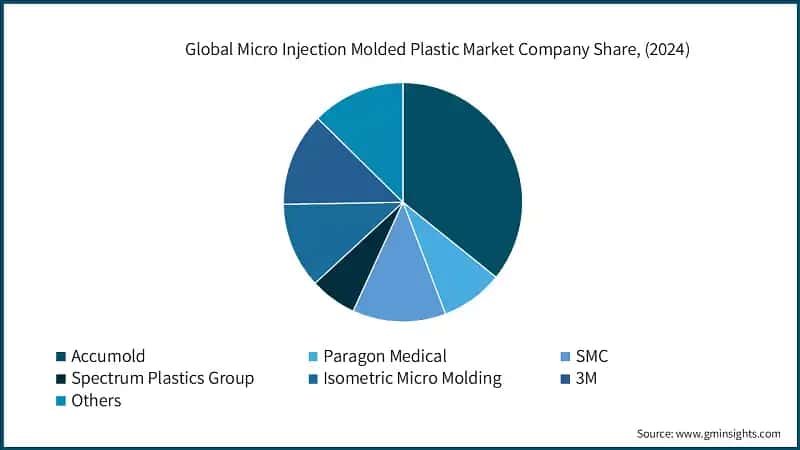 Global Micro Injection Molded Plastic Market Company Share, (2024)