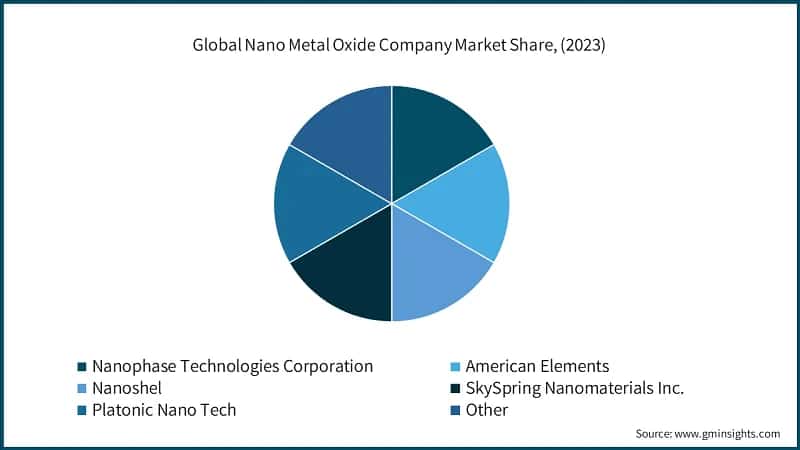 Global Nano Metal Oxide Company Market Share, (2023)