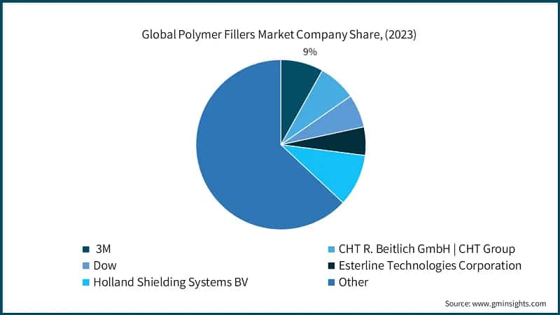 Global Polymer Fillers Market Company Share, (2023)