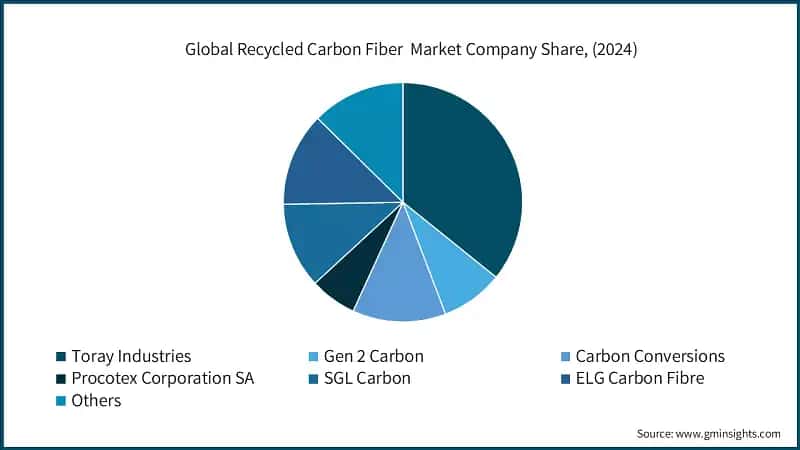 Global Recycled Carbon Fiber&nbsp; Market Company Share, (2024)