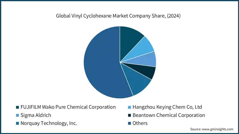 Global Vinyl Cyclohexane Market Company Share, (2024)