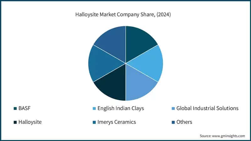 Halloysite Market Company Share, (2024)