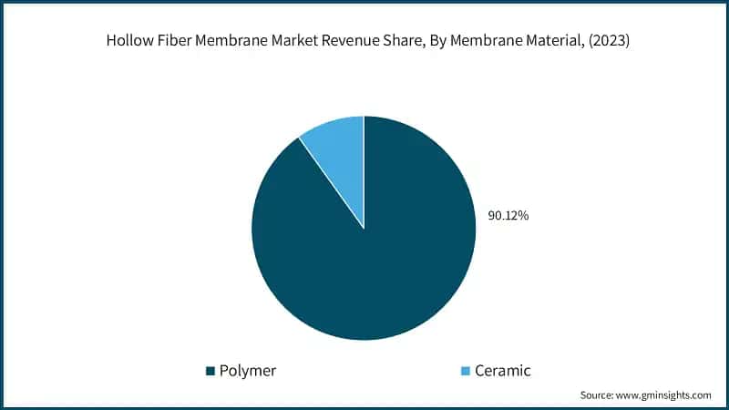 Hollow Fiber Membrane Market Revenue Share, By Membrane Material, (2023)