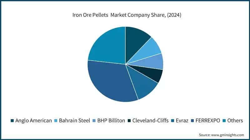 Iron Ore Pellets Market Company Share, (2024)